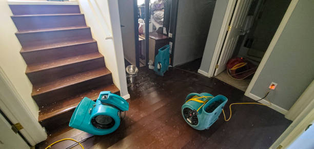 Professional Water damage restoration in Franklin, PA