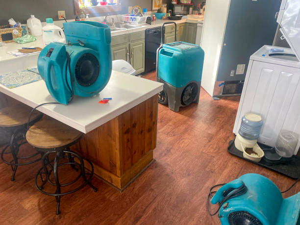 Best Water damage cleanup near me  in Franklin, PA