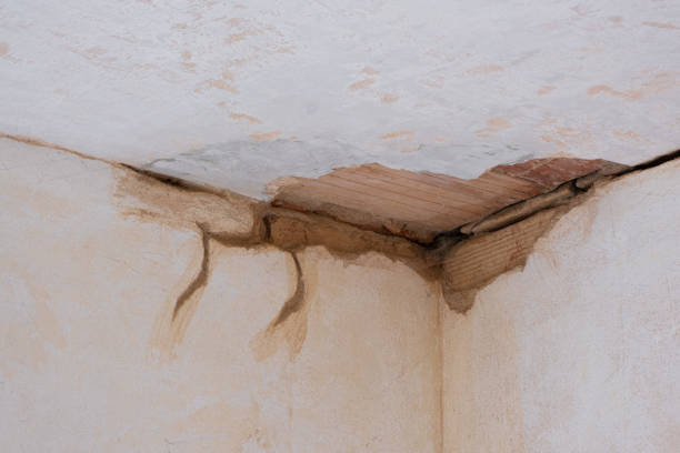 Best Water damage cleanup near me  in Franklin, PA