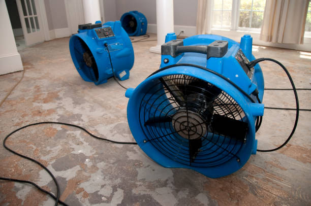 Best Water damage restoration mold remediation  in Franklin, PA