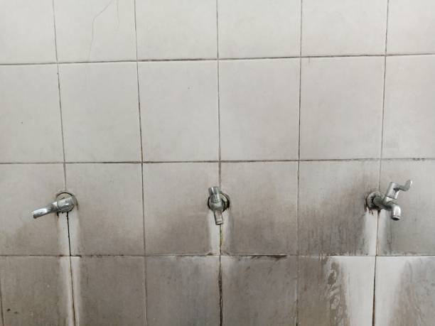 Best Commercial water damage restoration  in Franklin, PA