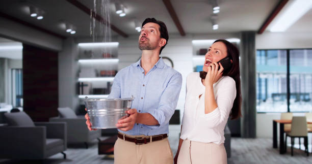 Water damage restoration mold remediation in Franklin, PA